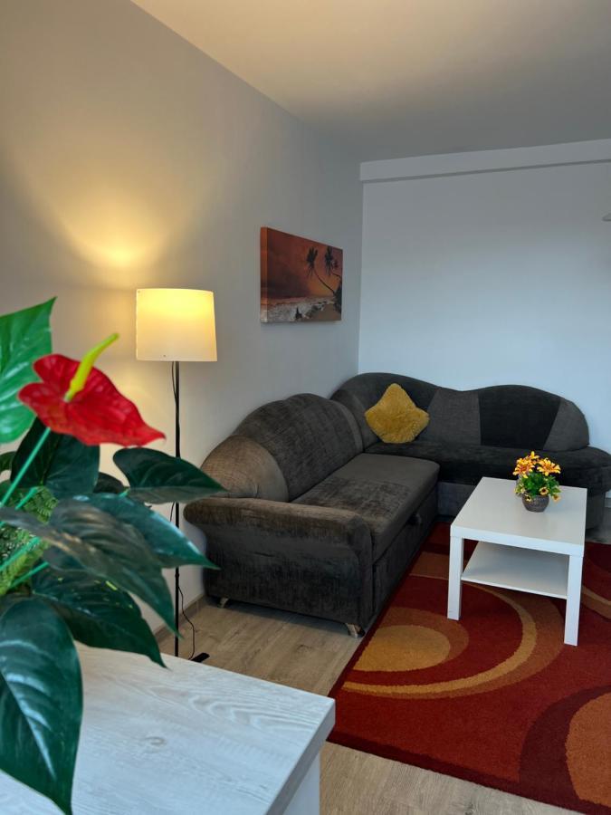 House51 Apartamento Braşov Exterior foto